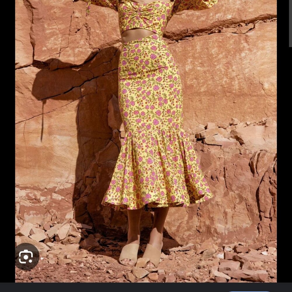 Eddy patsy flutted skirt